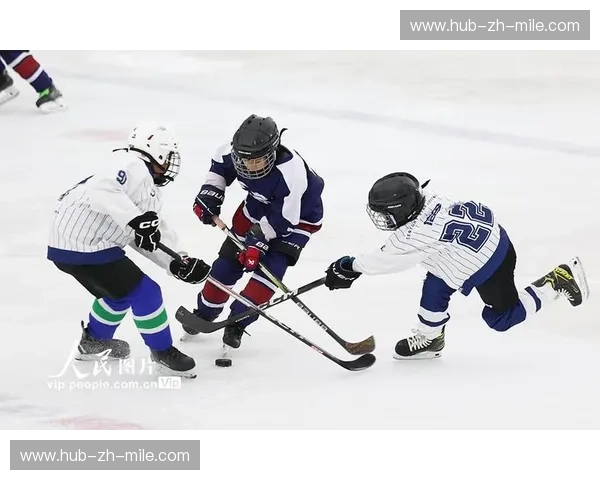 冰场风云：冰球球员的荣耀、奋斗与无限魅力